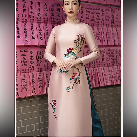 🆕 🦚 Stunning Traditional Ao dai in Pale Pink Taffeta w/ embroidery 🦚 sz L - Picture 1 of 3